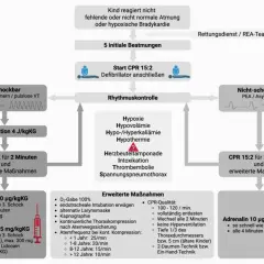 Schockbarer Rhythmus (Kammerflimmern/pulslose VT) erfordert Defibrillation und CPR 15:2. Nicht-schockbarer Rhythmus (PEA/Asystolie) erfordert CPR 15:2.