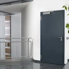 Moderne Eingangstür mit Türschließer, Geländer und Pflanzen. Die t30rs bedeutung liegt in der Sicherheit, die diese Tür bietet.