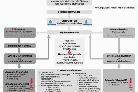 Schockbarer Rhythmus (Kammerflimmern/pulslose VT) erfordert Defibrillation und CPR 15:2. Nicht-schockbarer Rhythmus (PEA/Asystolie) erfordert CPR 15:2.