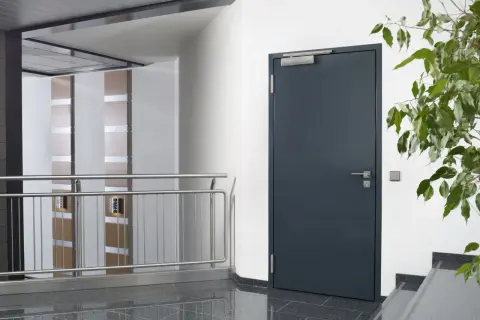 Moderne Eingangstür mit Türschließer, Geländer und Pflanzen. Die t30rs bedeutung liegt in der Sicherheit, die diese Tür bietet.