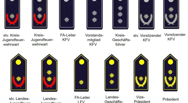 Abzeichen für verschiedene Feuerwehr-Dienstgrade, von Jugendfeuerwehr bis Präsident. Jedes Abzeichen zeigt Sterne und Lorbeerzweige, die den Rang auf der Uniform kennzeichnen.