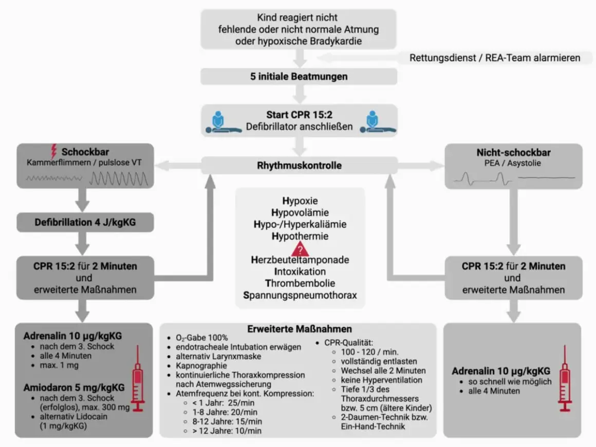 Schockbarer Rhythmus (Kammerflimmern/pulslose VT) erfordert Defibrillation und CPR 15:2. Nicht-schockbarer Rhythmus (PEA/Asystolie) erfordert CPR 15:2.